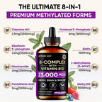 Venture Pal Vitamin B Complex Liquid Drops, B12 Methylcobalamin | B9 Folic | B1,B2,B3,B5,B6,B16 - Vitamin C, Choline, Inositol, Immune & Energy Metabolism, Brain & Heart Support