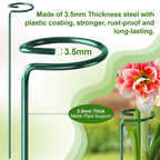 Fabulas 24 Pack Plant Support Stakes, 16 Inch Metal Garden Plant Stakes Single Stem Support Rings for Indoor Outdoor Amaryllis, Flowers Orchid, Lily, Peony, Rose, Tomato, Monstera, Narcissus