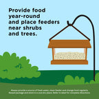 Kaytee Ultimate Birder's Blend Food, Wild Bird Seed, 10 Pounds