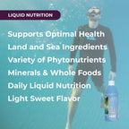 Life Force Youngevity Body Balance Land & Sea Plant Based Nutrition - Sea Vegetables, Kelp, Nori, Honey, Aloe Vera, and More - 75+ Nutrients w/Vitamins, Minerals, Amino Acids - (32 Fl Oz) (1)
