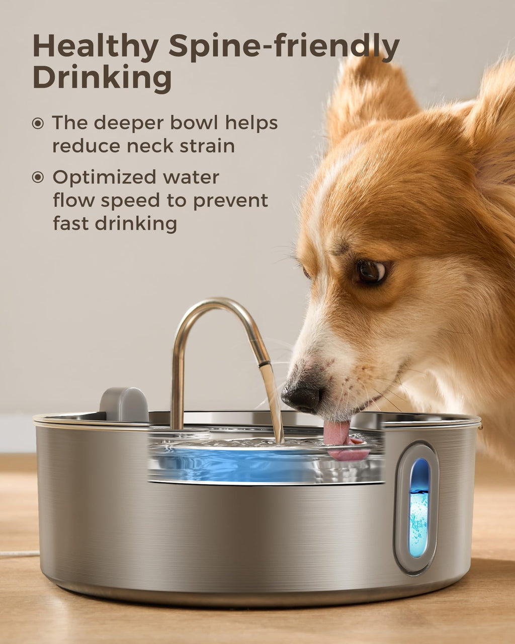 Smartoo Dog Water Fountain for Large Dogs Stainless Steel