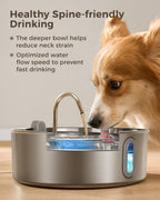 Smartoo Dog Water Fountain for Large Dogs Stainless Steel