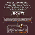 Brain Complex Addifocus™ Brain Supplements For Memory and Focus (Plasmalogen, Lions Mane, Vinpocetine 10mg & Ergothioneine) Memory Supplement for Brain, Brain Defender Supplement, Brain Health