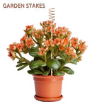 18Pack 17" Electroculture Plant Stakes, Long Electro-Culture Electroculture Copper Gardening Antenna, Garden Copper Stakes for Plants Fruits Vegetables Growth, Eco-Friendly & High-Yield