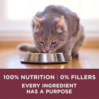 Purina ONE High Protein Urinary Tract Health Dry Cat Food, 16 lb Bag