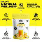 Ginger Turmeric Supplements with Piperine, Vitamin C, Vitamin D3 & Zinc | 200 Servings of Turmeric Ginger Shots for Joint, Heart, Brain, Gut & Skin Health | Ayurved | Powder