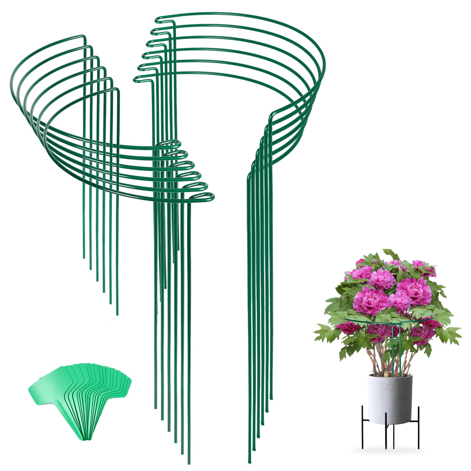 12 Pack 24 Inch Tall Snake Plant Support Stakes with 15 Twist Ties