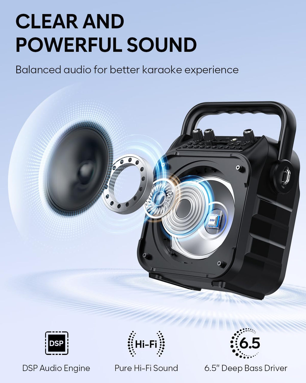 CYY Karaoke Machine, Portable Bluetooth Speaker with 2 Wireless Microphones