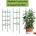 60PCS Plant Stake Arms for Tomato Cage，Expandable 11.8" Plant Supports Trellis Connector Clips for 11mm Garden Plants Stakes Stand Outdoor/Indoor