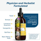Researched Nutritionals BLT - Advanced Microbial Support - Black Walnut Hull, Boneset Herb, Sarsaparilla & Lomatium Tincture - Phospholipid Delivery Complex for Maximum Absorption (4 fl oz)