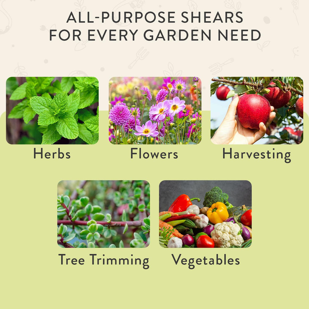 Modern Sprout Pruning Shears- Garden Snips-Herb Scissors- Chartreuse 1-Pack