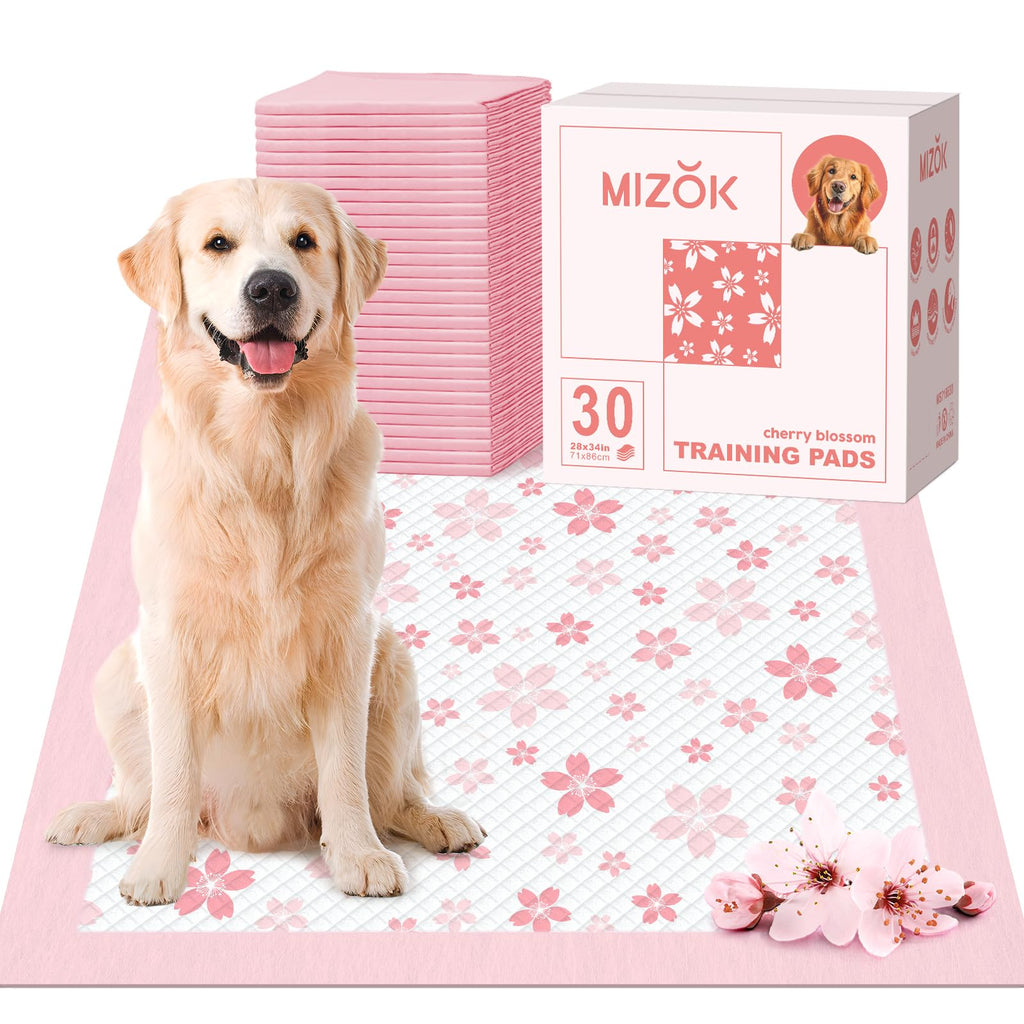 MIZOK Puppy Pads, 36"x36" Dolphin Print Dog Pee Pads Extra Large with Adhesive Tabs, Leak-Proof, 6-Layer Leak-Proof Super Absorbent, Quick-Dry Disposable (30 Count)