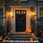 Vicstone Upgraded E26 Dusk to Dawn Flame Light Bulbs for Halloween, 4 Modes