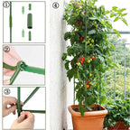 4 Pack Tomato Cage Plant Support Assembled -48inch Vegetable Trellis,Assembled Multi-Functional Garden Trellis Garden Trellis for Climbing Vegetables,Climbing Plants, Vegetables, Flowers, Fruits, Vine