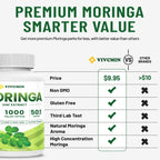 vivcmin 240 Moringa Capsules - Moringa Oleifera Leaf | Moringa Supplement for Energy & Immune Support - 8 Month Supply