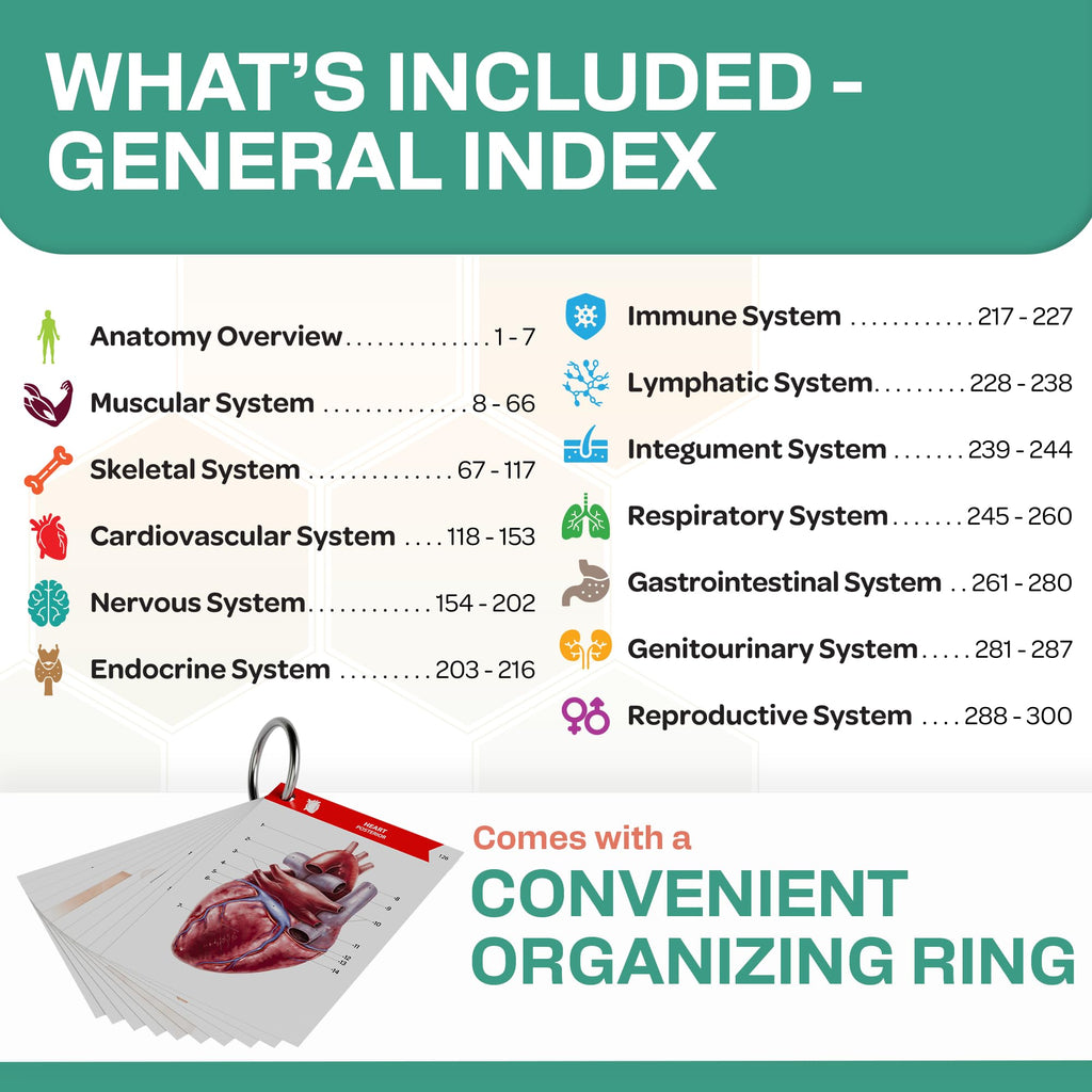 TribeRN Anatomy and Physiology Flash Cards – 320 Study Resources for Students – Human Anatomy & Physiology Study Tools – Medical, Nursing School Essentials – Durable & Easy to Use Flashcards