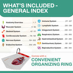 TribeRN Anatomy and Physiology Flash Cards – 320 Study Resources for Students – Human Anatomy & Physiology Study Tools – Medical, Nursing School Essentials – Durable & Easy to Use Flashcards