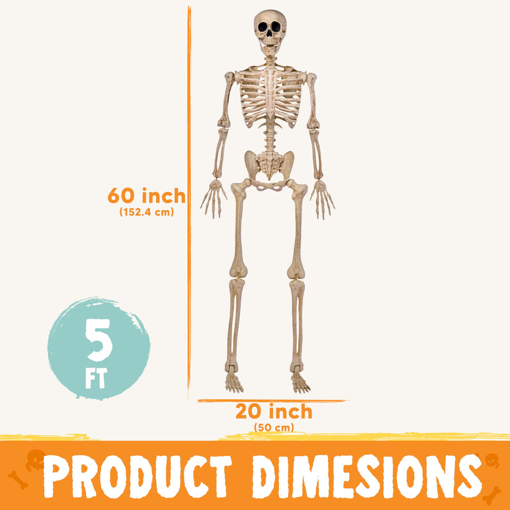 JOYIN 5 FT Halloween Skeleton Life Size, Stayable Posable Skeleton Decor, Full Body Movable Joints Giant Skeletons for Halloween Decoration Outdoor, Haunted House Prop, Spooky Scary Graveyard Party