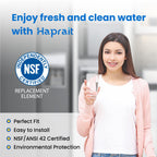 WF3CB Water Filter Replacement, HP006 Compatible with Frigidaire WF3CB, Pure Source 3, WF425, 706465, 242069601, 242086201, 242017800, Height 9 inches, 1 Count