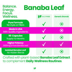 Healthfare Banaba Leaf Extract Capsules 3000mg | 90 Vegan Pills | Standardized with Corosolic Acid | Premium Herbal Supplement | Non-GMO, Gluten-Free | Made in USA