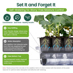 SOLIGT Self Watering Seed Starter Trays with Humidity Domes 3 Pack 72 Cells