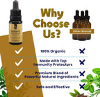 Activation Solaris Essential Oil | 15 ml | Aromatic Blend with Thyme, Peppermint, Rosemary, and Clove | Refreshing Scent for Diffuser and Topical Use | Clean Plant-Based Formula