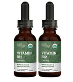 USDA Organic Vitamin B12 2000mcg Sublingual Liquid Supplement (2-Pack) - Vegan Methylcobalamin Drops for Natural Energy, Maintain Metabolism, and Immune System Support - 1 Fl Oz
