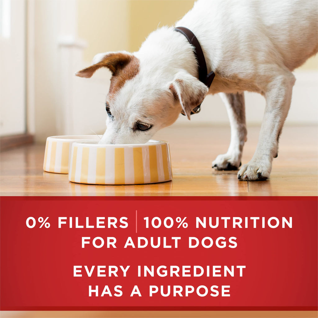 Purina ONE Chicken & Brown Rice Wet Dog Food, Tender Cuts, (12) 13 oz Cans