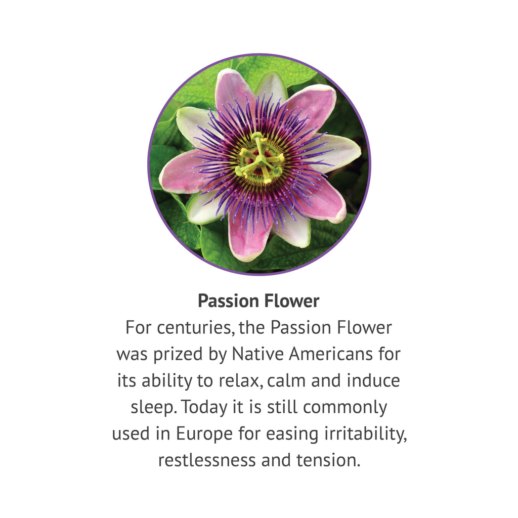 Botanic Choice Passion Flower Liquid Extract - Alcohol-Free Herbal Supplement, Traditional Support for Relaxation - 1 Fl. Oz 2 Pack