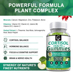 GORNVB Cortisol Gummies, Cortisol Supplement for Women with Magnesium, Ashwagandha, Rhodiola, Phosphatidylserine, L-Theanine, Black Pepper, Vitamin C & B6 - Relaxation, Focus, Sleep Support - 2 Pack