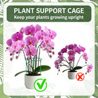 Moiggonoy 36 Pack Plant Support Stakes Sets - Versatile Plant Cages, Stackable Garden Flower Support， Small Plant Stakes for Indoor Plants,Tomato,Monstera, Peony, Hydrangea, Climbing Plants