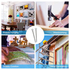 376PCS Galvanized Nails Kit with Storage Box, 6 Sizes for Hanging Pictures