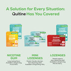Quitine Nicotine Gum 2mg, Fruit Flavor, Stop Smoking Aid – Affordable NRT to Relieve Cravings | Coated for Quick-Burst Flavor, 480 Count (Pack of 2), Traditional Gum to Support Your Quit Journey