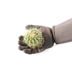 COOLJOB Thorn Proof Rose Pruning Garden Gloves for Men, Long Sleeve Padded Yard Work for Bush, Blackberry, Cactus, Heavy Duty/Puncture Resistant/Machine Washable, Xlarge, Navy