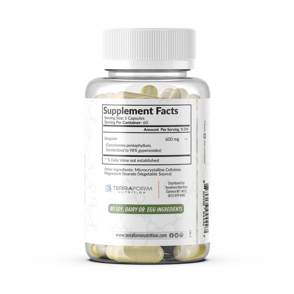 TerraForm Nutrition Gynostemma Pentaphyllum Supplement - 600mg per Capsule - 98% Gypenoside Extract - Jiaogulan - 60 Capsules - Adaptogenic Herbal Supplement
