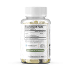 TerraForm Nutrition Gynostemma Pentaphyllum Supplement - 600mg per Capsule - 98% Gypenoside Extract - Jiaogulan - 60 Capsules - Adaptogenic Herbal Supplement