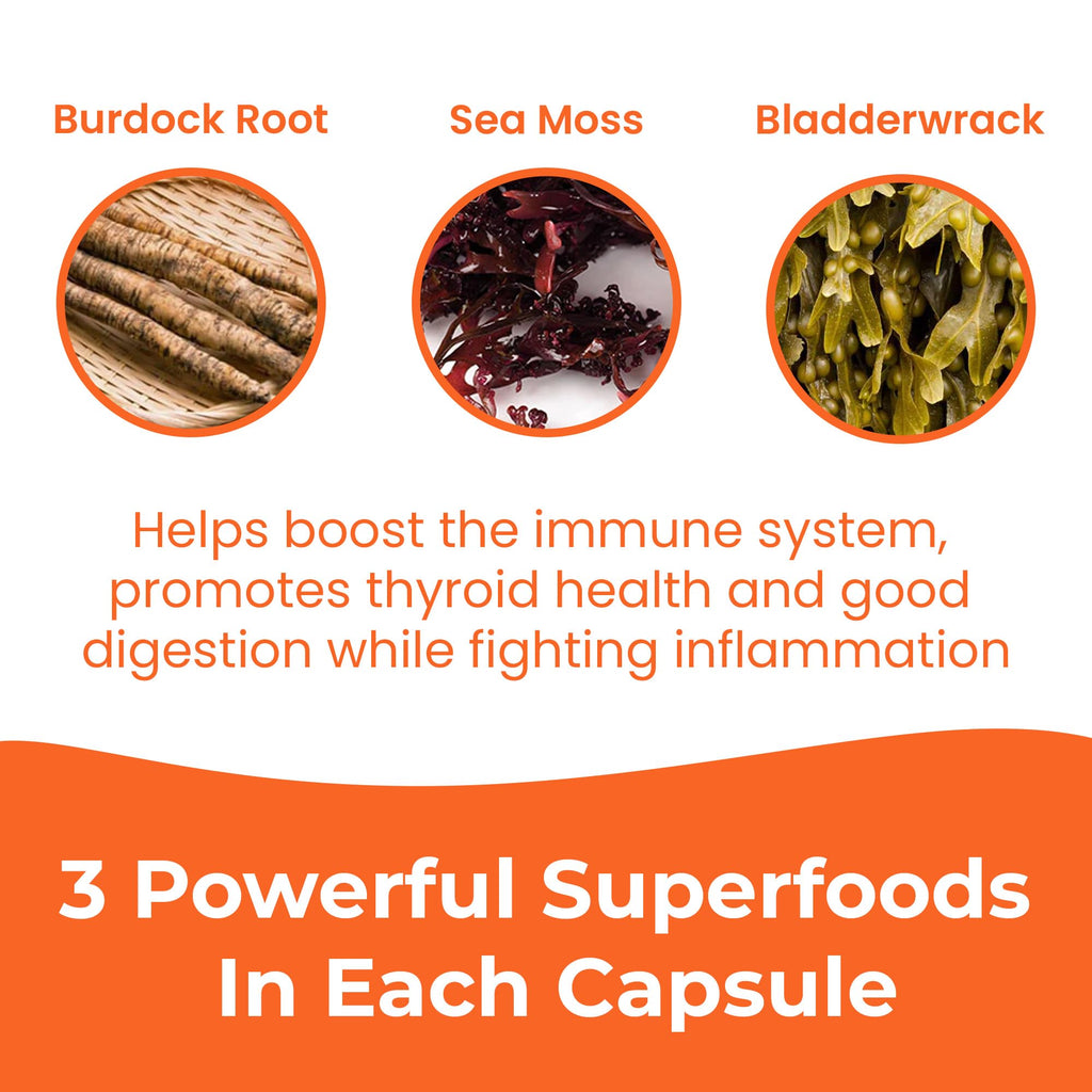 INFINITE AGE 2 Pack of 1250mg Sea Moss Advanced Superfood Capsules, 120 Count - High-Potency, Vegan, Made in The USA - Irish Seamoss, Bladderwrack, Burdock Root - Overall Health, Immunity Support
