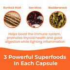 INFINITE AGE 1250mg Sea Moss Advanced Superfood Capsules, 60 Count - High-Potency, Vegan, Made in The USA - Irish Seamoss, Bladderwrack, Burdock Root - Overall Health, Immunity Support