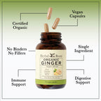 Herbal Roots Ginger Supplement | Organic Ginger Root Capsules | 1,200 mg of Pure Ginger Powder per Serving | 60 Vegan Capsules