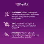 Sambucus Elderberry Gummies for Adults - Immune Support Supplement with Vitamin C and Zinc - Enhanced Formula for Daily Defense - 60 Count, 1 Month Supply, Berry Flavor - Convenient Wellness