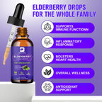 B BEWORTHS 2 Pack Elderberry Syrup, Black Elderberry Drops with Quercetin, Panax Ginseng, Vitamin C and Zinc, Sambucus Elderberry Syrup Liquid for Immune Support, Vegan, Non-GMO & Gluten Free
