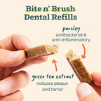 WOOF Bite n' Brush Dog Dental Chews Sticks for Dog Toy, Chicken, 2 Pack