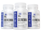 Cerebra Next Generation Brain Formula 60 Capsules