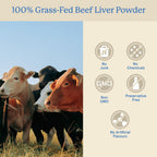 Equip Grass-Fed Beef Organs - Regenerative Freeze Dried Beef Liver Capsules - Includes Kidney & Heart - Natural Multivitamin Organ Supplements to Support Energy, Immunity & Heart Health (30 Servings)