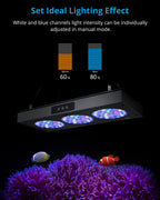 NICREW Reef Light Controller, LED Light Timer for HyperReef 50,100,150 Gen 1, Not Compatible with HyperReef Gen 2