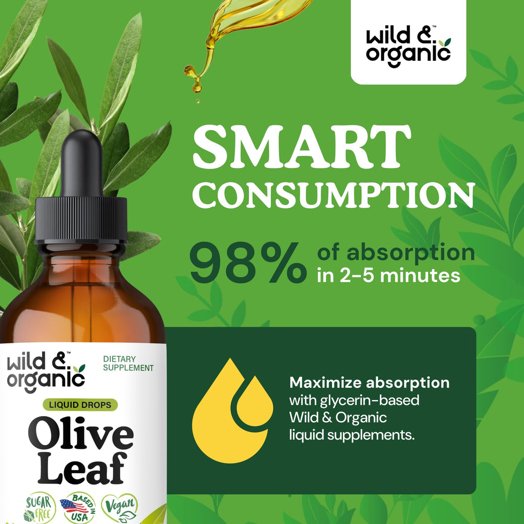 Olive Leaf Liquid Extract - Organic Olive Leaf Supplement for Immune Support - Vegan, Alcohol Free Tincture - 4 fl oz