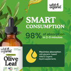 Olive Leaf Liquid Extract - Organic Olive Leaf Supplement for Immune Support - Vegan, Alcohol Free Tincture - 4 fl oz