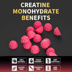 Creatine Monohydrate Gummies for Men & Women-5g of Creatine Monohydrate per Serving - Sugar Free,Vegan, Peach Flavor, 120 Count