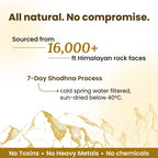 Better Alt Pure Himalayan Shilajit Resin Pack of 1 High Potency Gold Grade 75 Servings for Energy Boost & Immune Support, 85+ Trace Minerals, 75%+ Fulvic Acid, with Lab Test Report,400 mg