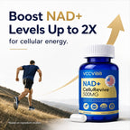 VCCVBB NAD+ Supplement 500mg - Nicotinamide Riboside for Cellular Energy & Mitochondrial Health, NAD Plus Boosting Support Healthy Aging, Stamina & Vitality for Women & Men - 60 Capsules